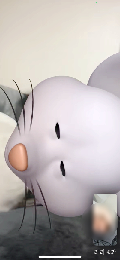 오꾸달 이미지