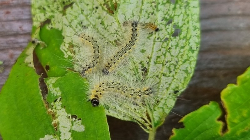 지산아이앤씨주 이미지