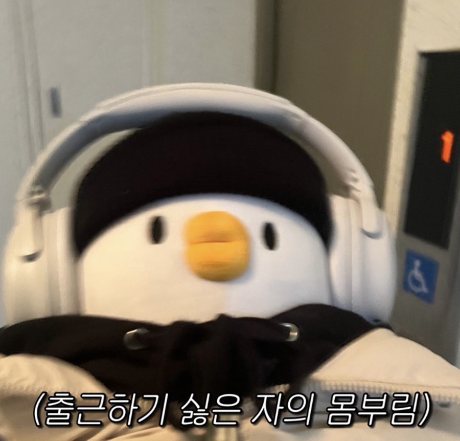 홍스족발 이미지