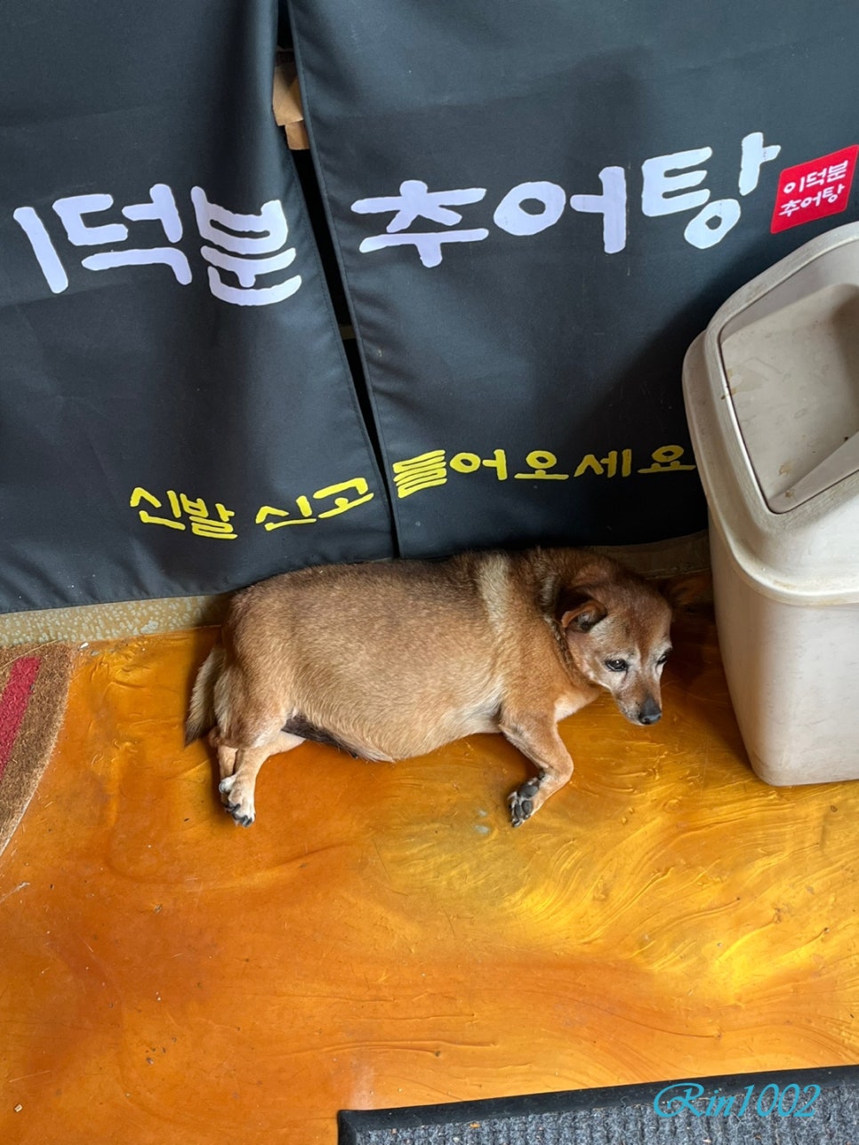 이덕분추어탕 이미지