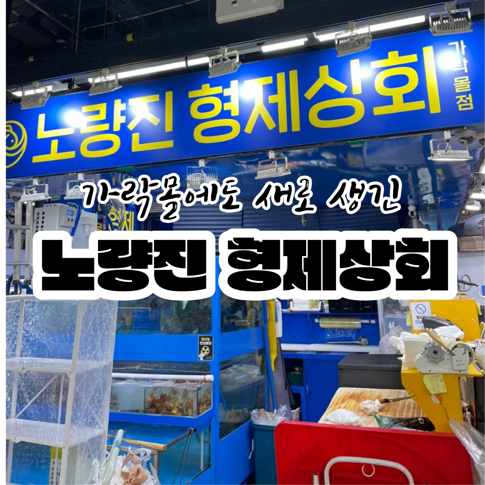 정동상회 이미지