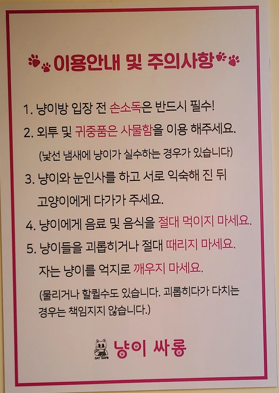 냥이싸롱 이미지