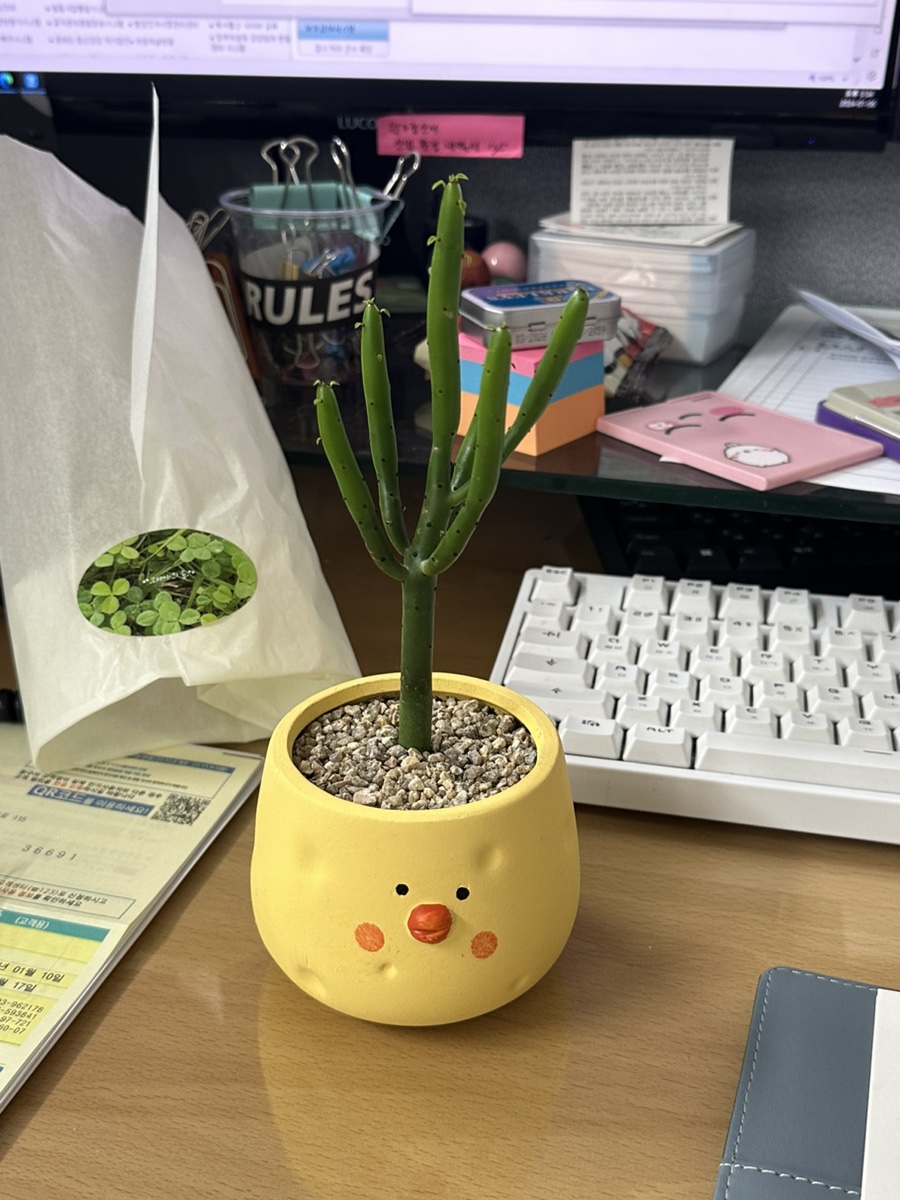 고타야의숲 이미지