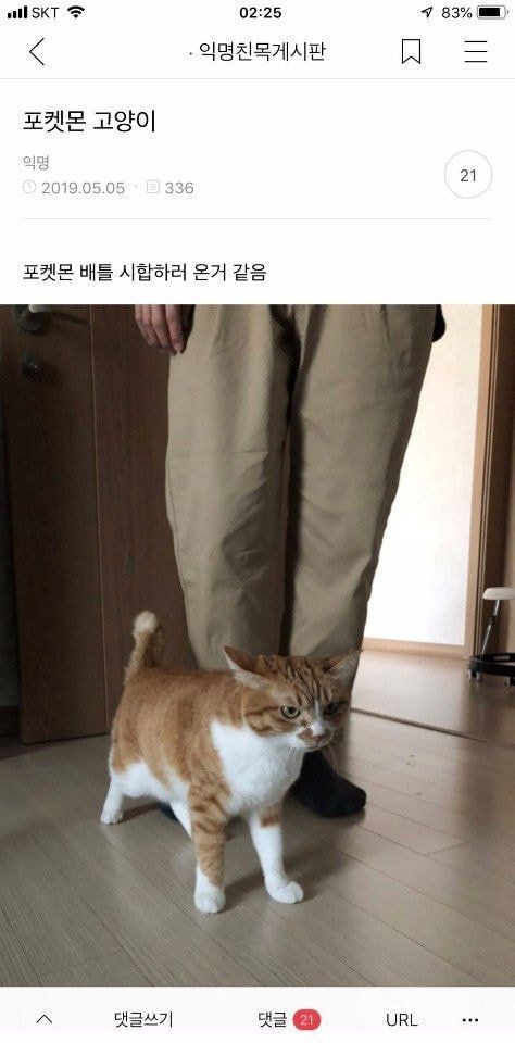 VIP세탁소 이미지