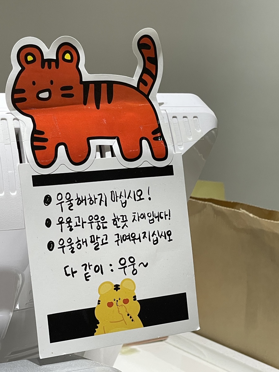 에브리데이젤라또 이미지
