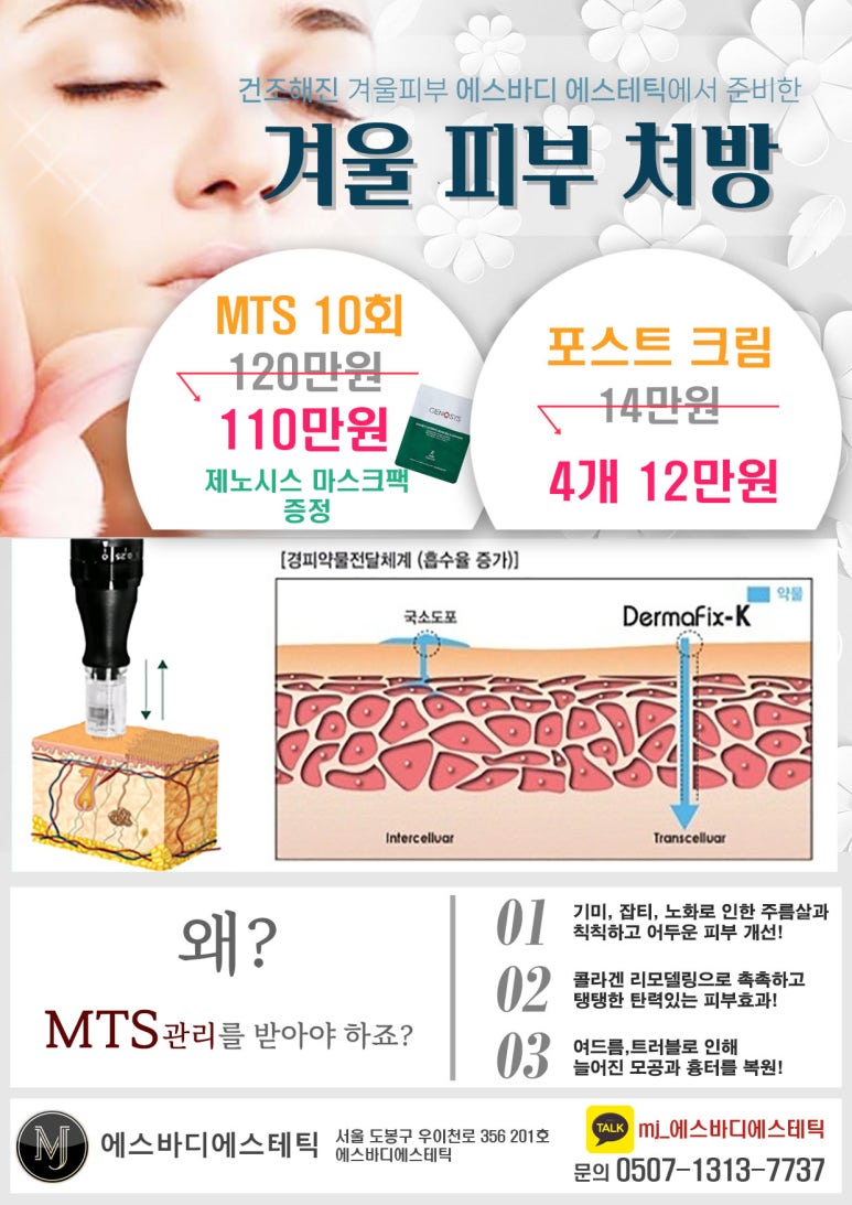 에스에스테틱 이미지