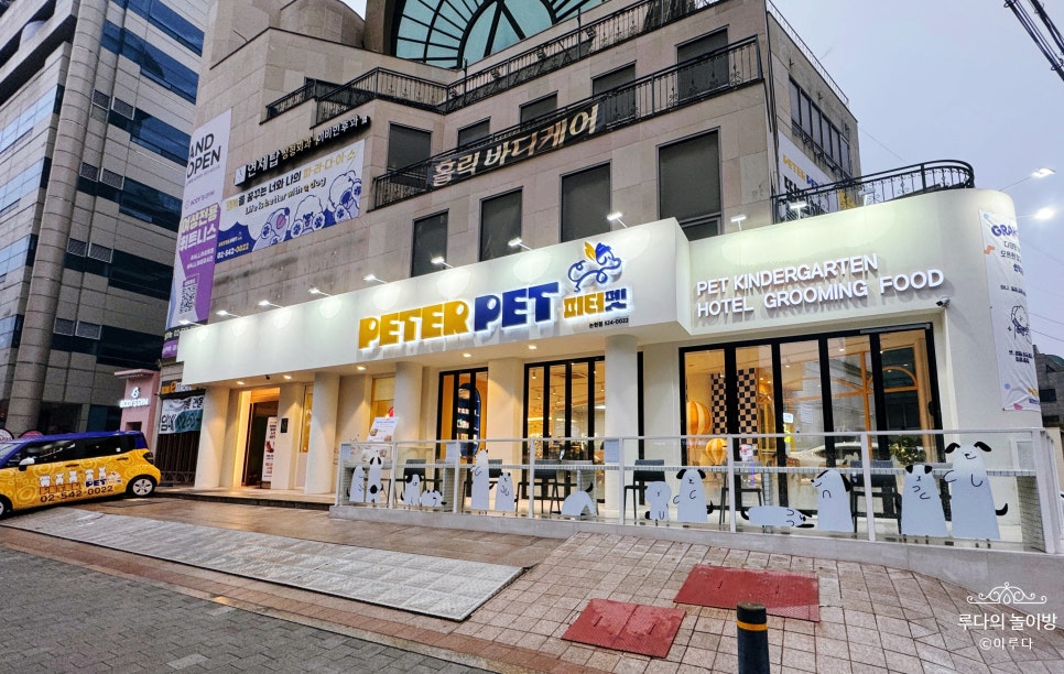 강남 피터펫 논현점: 애견카페·호텔·미용 원스톱 후기 — 사진 2