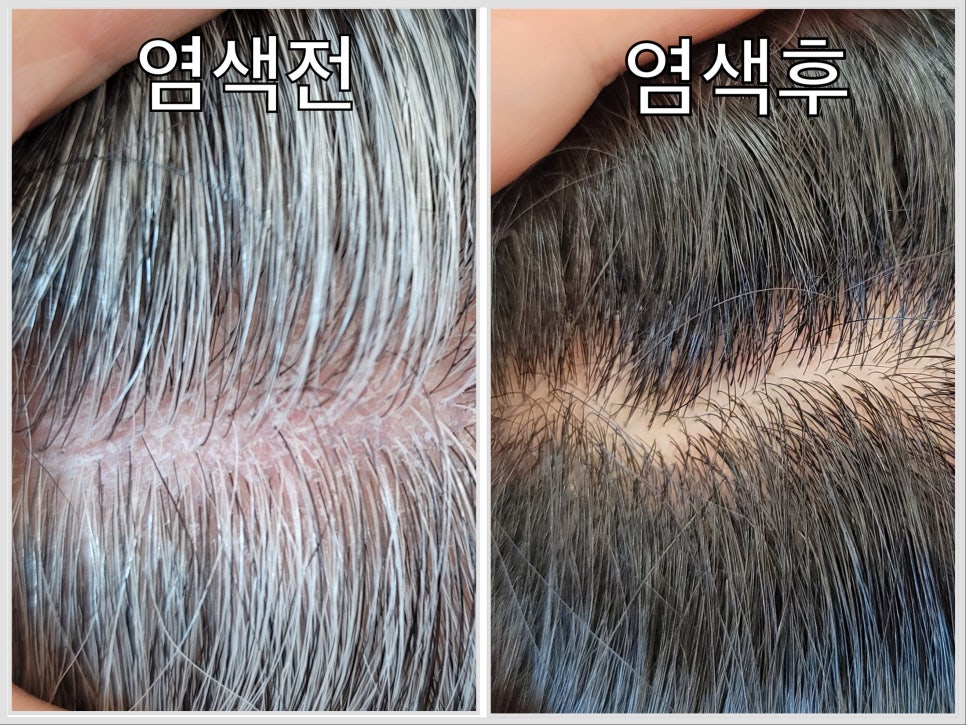 큐사랑 이미지