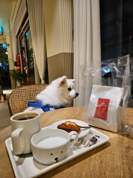 카페온어스 이미지