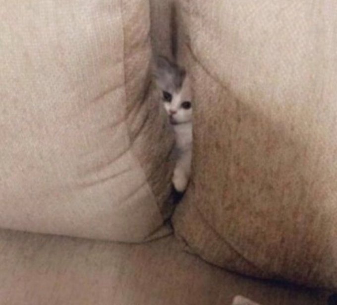 파리친구 이미지