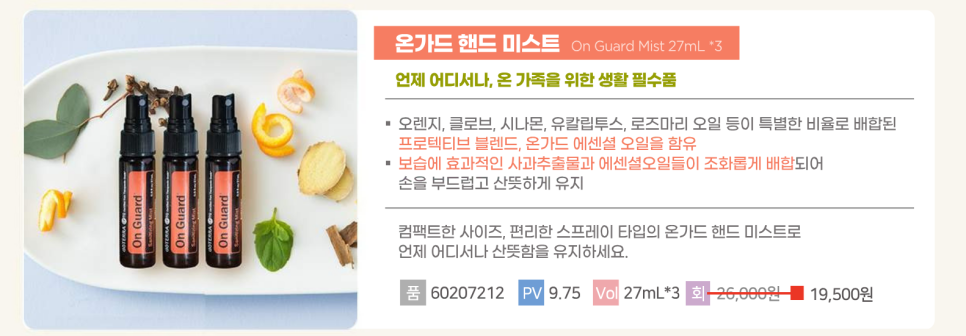 도테라코리아(유) 이미지