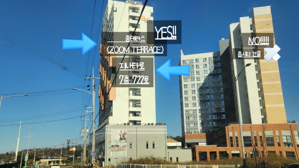 지나타로 이미지