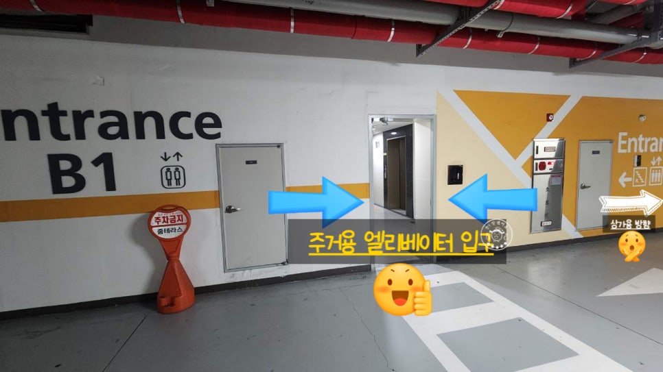 지나타로 이미지