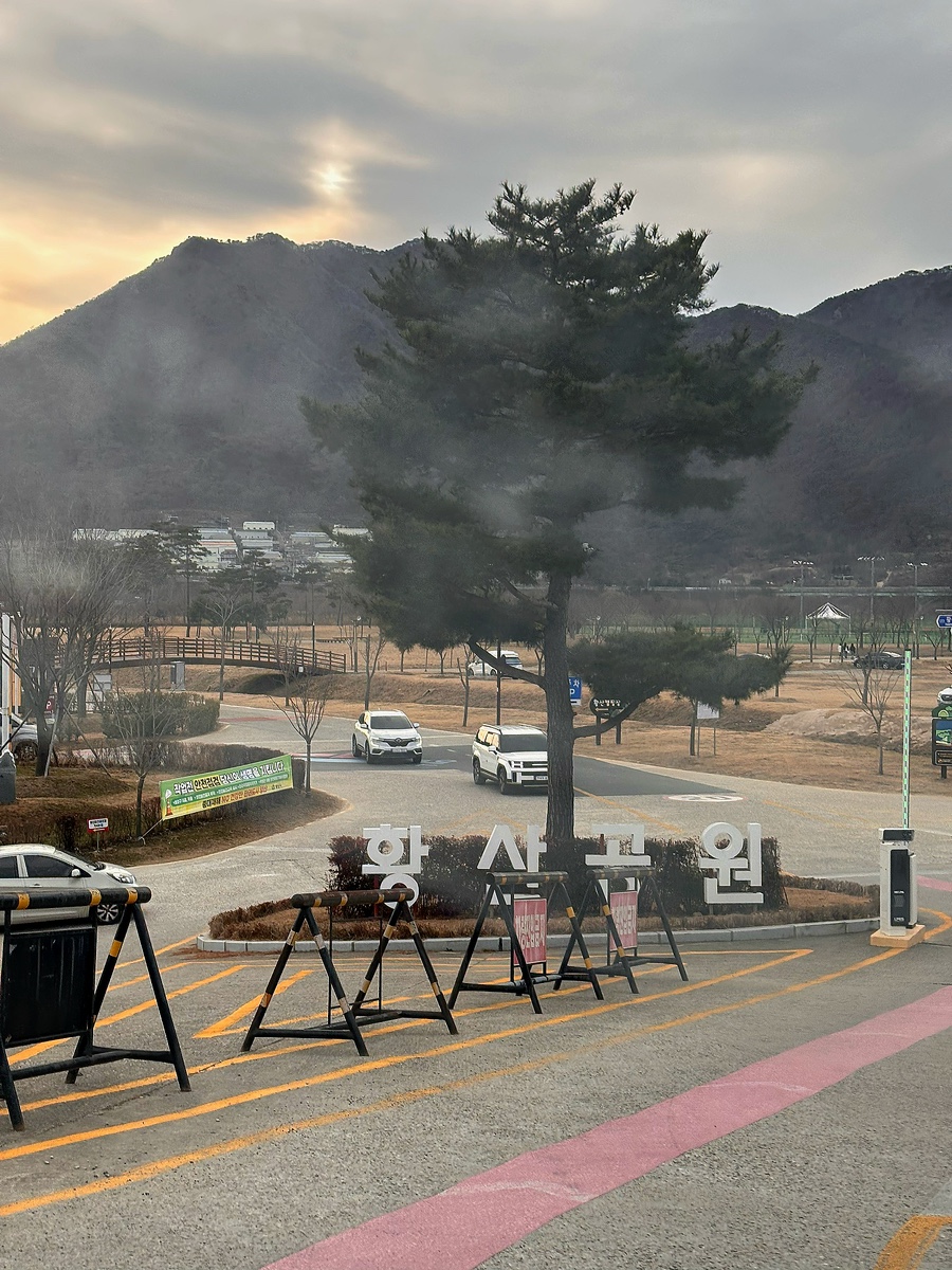 황산애견 이미지