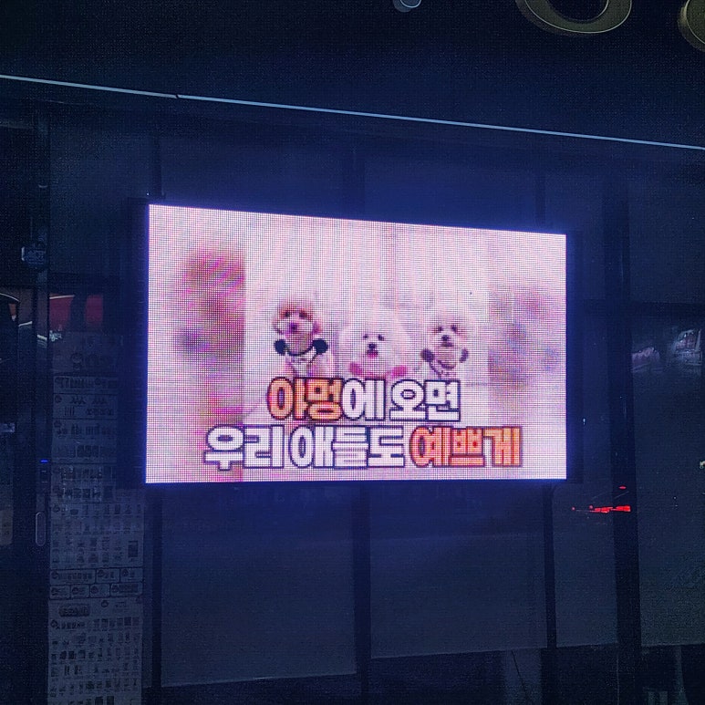 한빛전광판 이미지