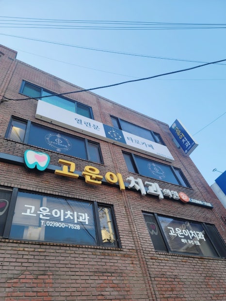 창동타로카페 이미지