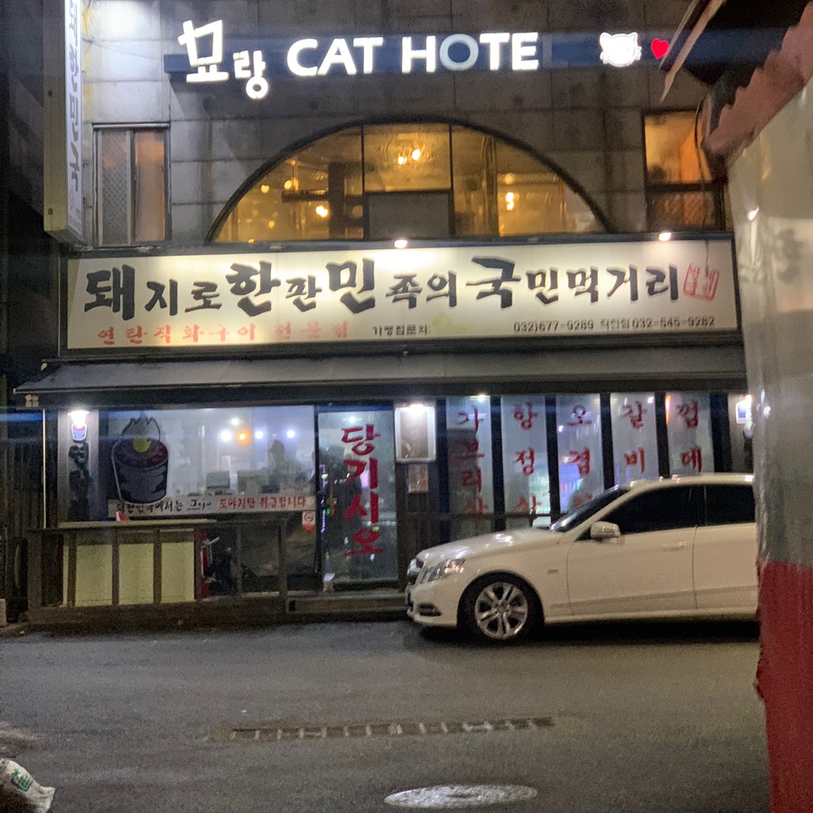 돼지로한판민족의국민먹거리(돼한민국) 이미지
