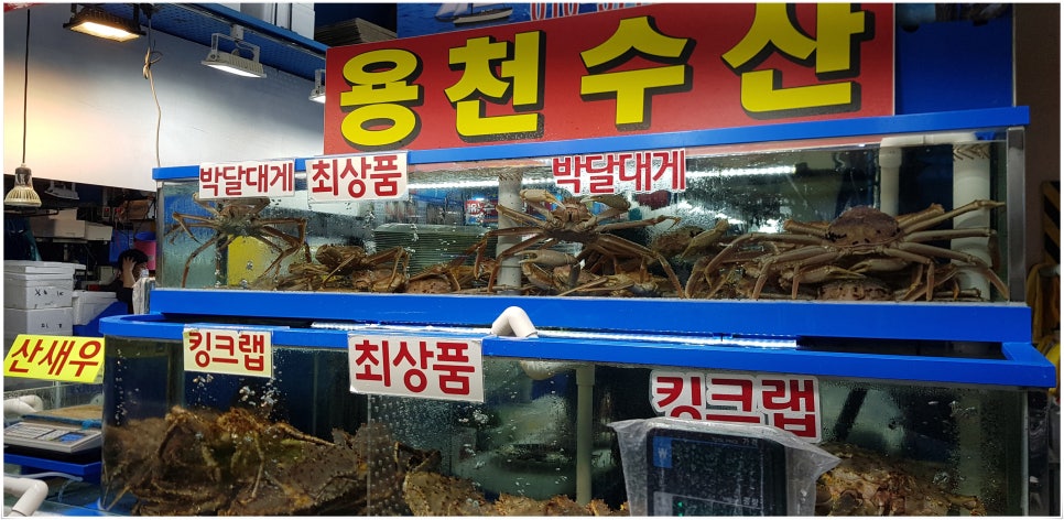 가락수산 이미지
