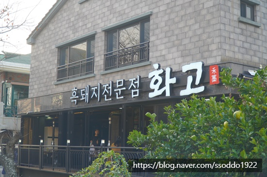 돼지만판다 이미지