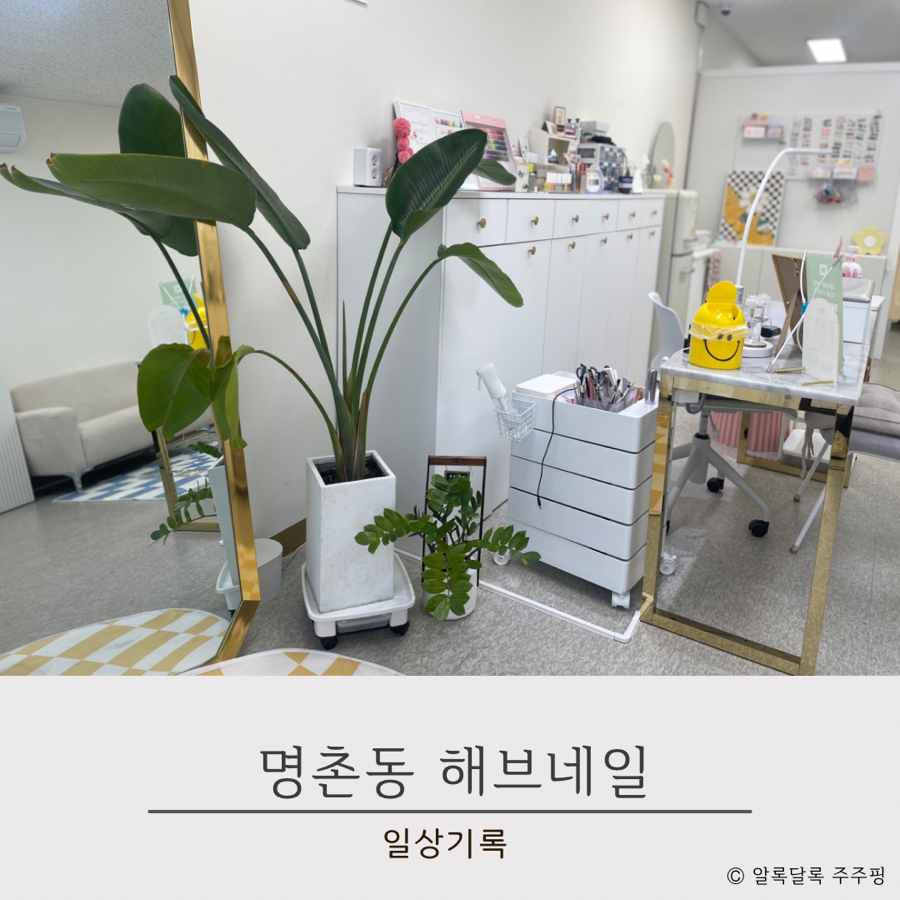 해브네일 이미지