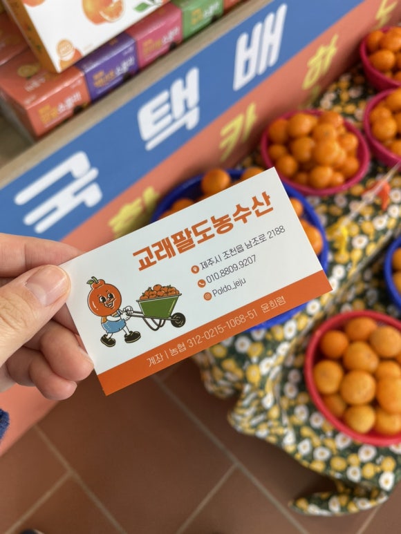 교래팔도농수산 이미지