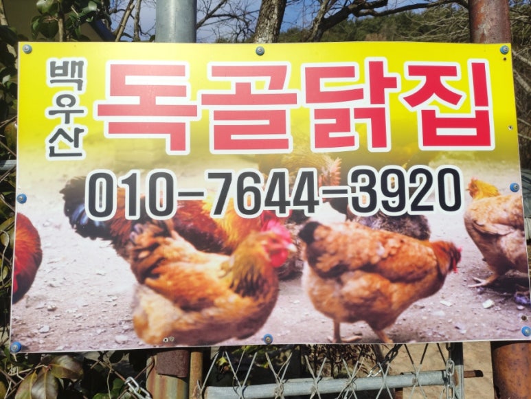 독골닭집 이미지