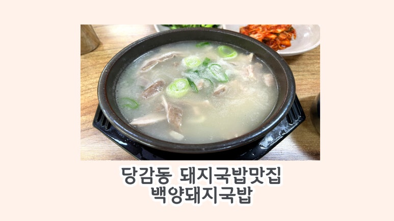 백양푸드 이미지