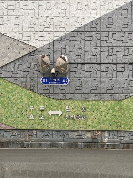 황산애견 이미지
