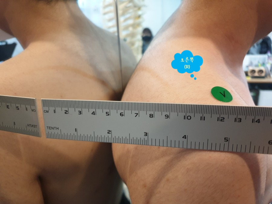 택짐피티샵 이미지