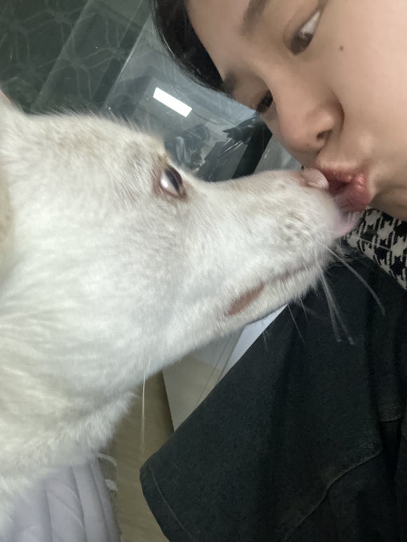 휴게소동 이미지