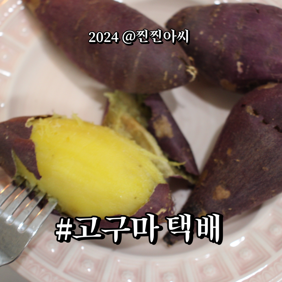 너잇템 이미지
