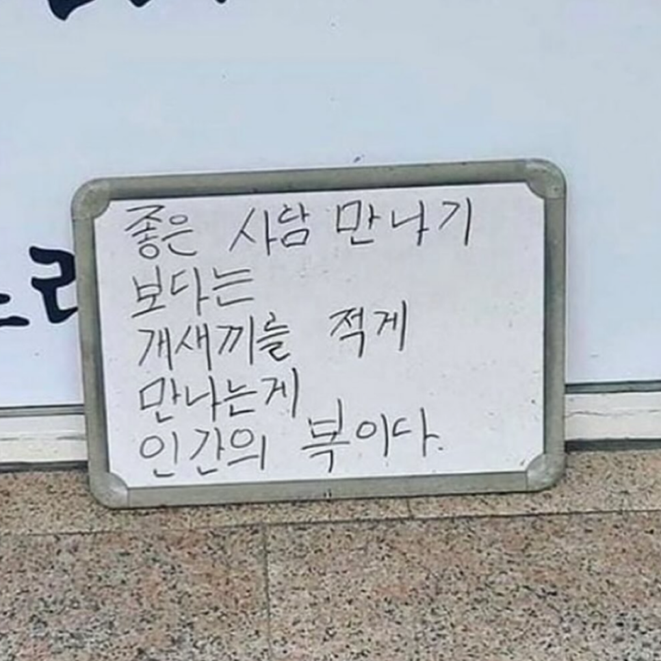 시시비비 이미지