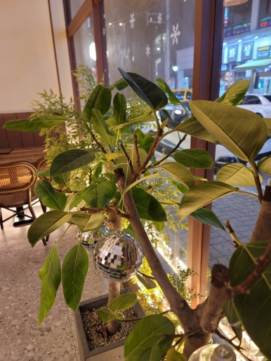 전일맥주 봉명점 이미지
