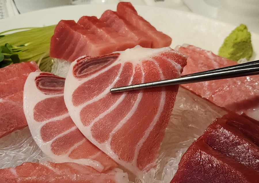 본참치 이미지