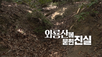 자연사진실 이미지