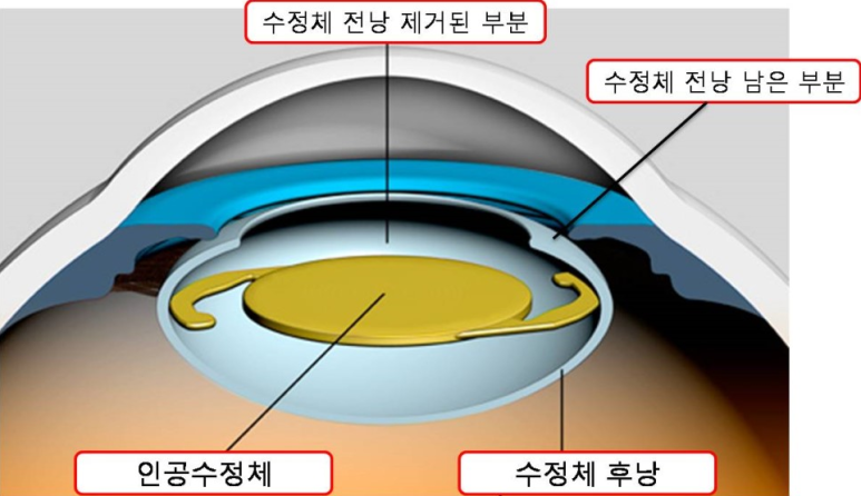 삼계성모안과 이미지