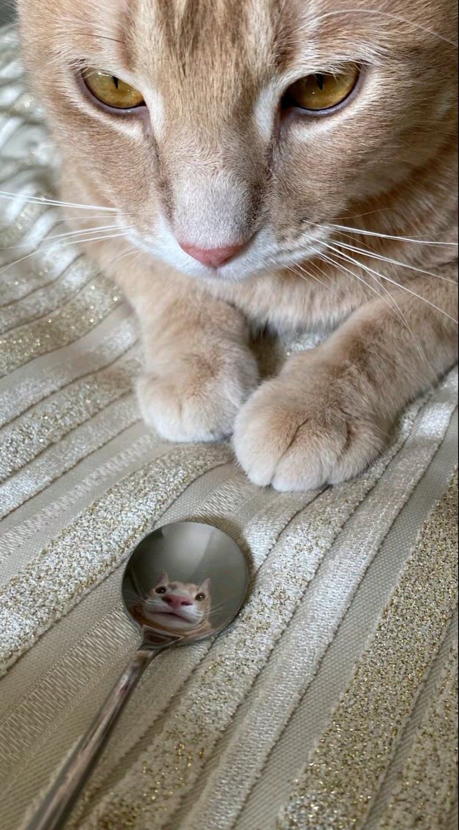 숲속작은나라 이미지