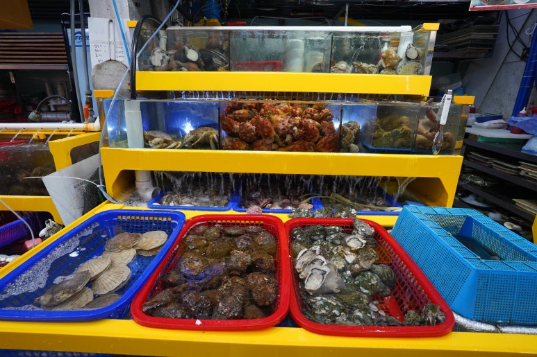대성수산14호 이미지