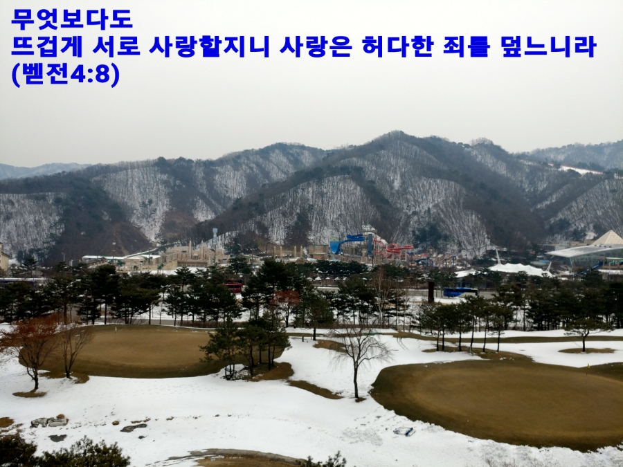 샬롬 이미지