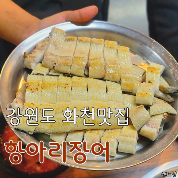 항아리장어 이미지