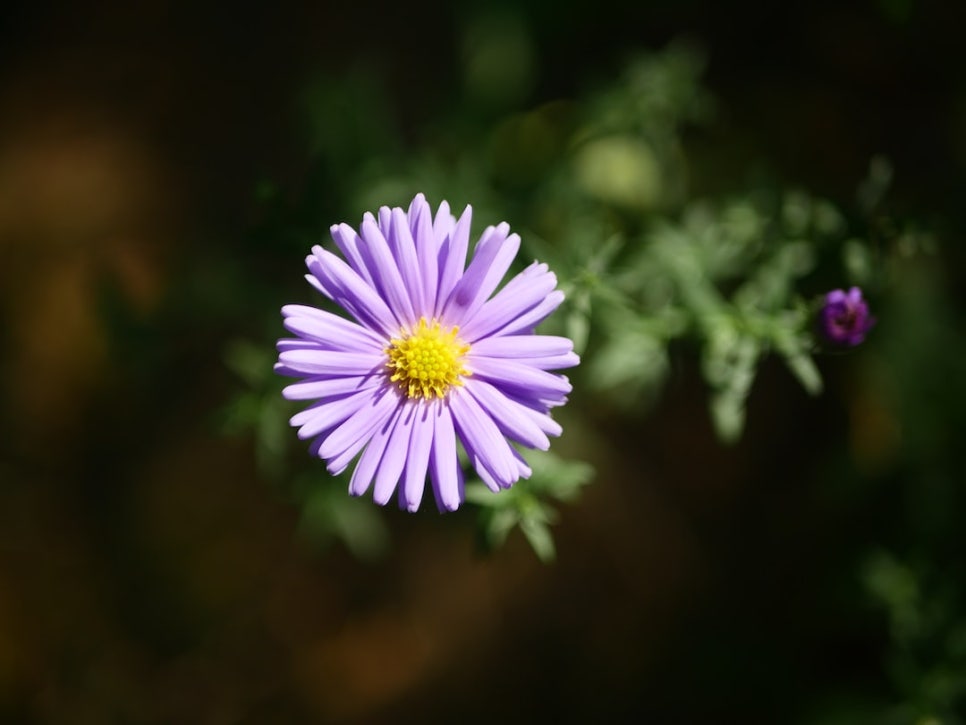 세자매이야기 이미지