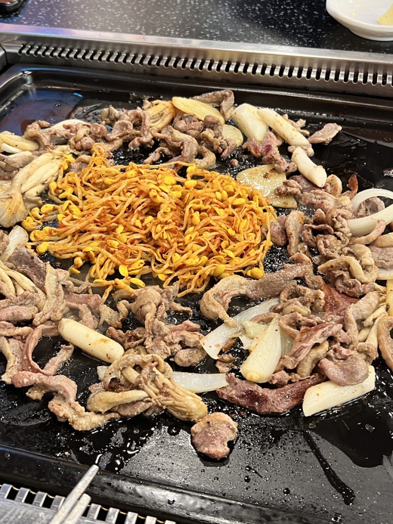 청솔로스 이미지