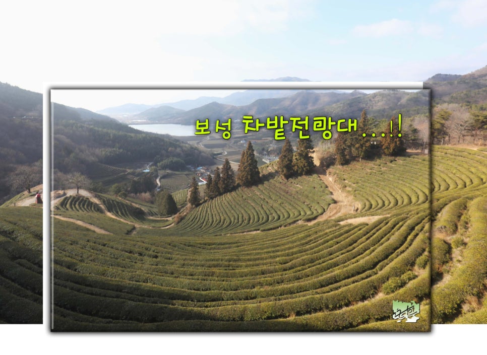 보성씨네마 이미지