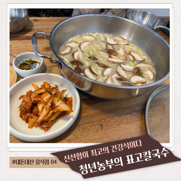 백두표고 이미지