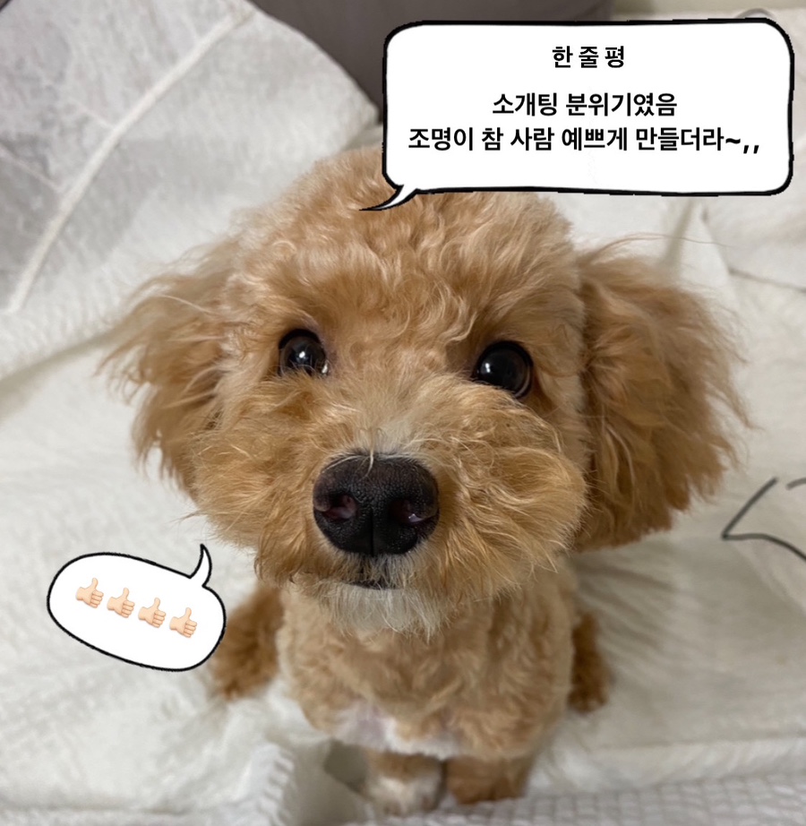 헌술방 이미지