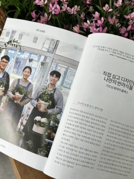 풀롶 이미지