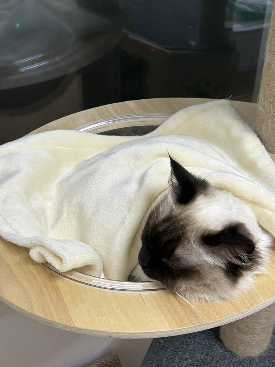 오예노래연습장 이미지