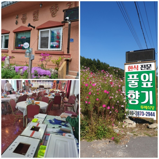풀잎식당 이미지