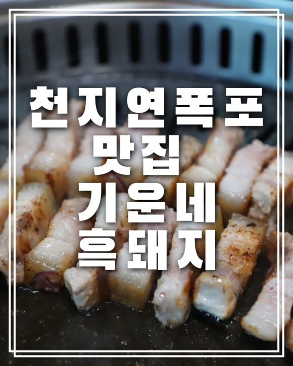 기운네흑돼지 이미지
