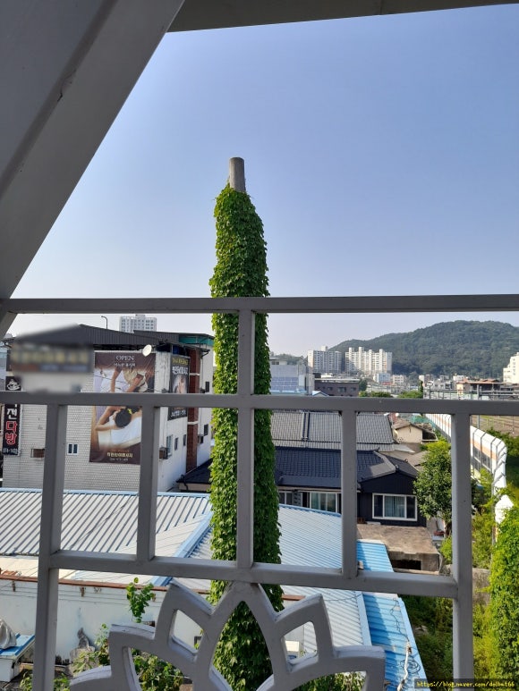 산호장여관 이미지